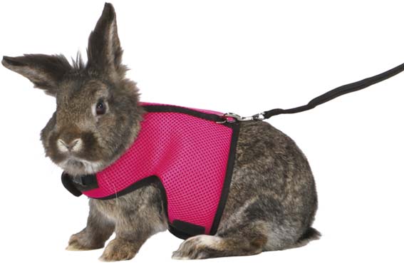 Softsele+koppel, stor kanin, 25-40 cm, 1.20 m