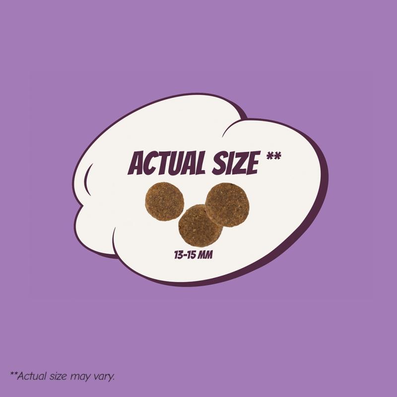 POW! Dog Adult L/XL Pork 12 kg