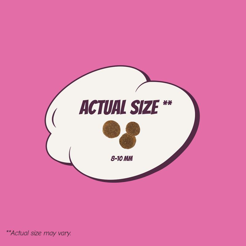 POW! Dog Adult S/M Pork 12 kg