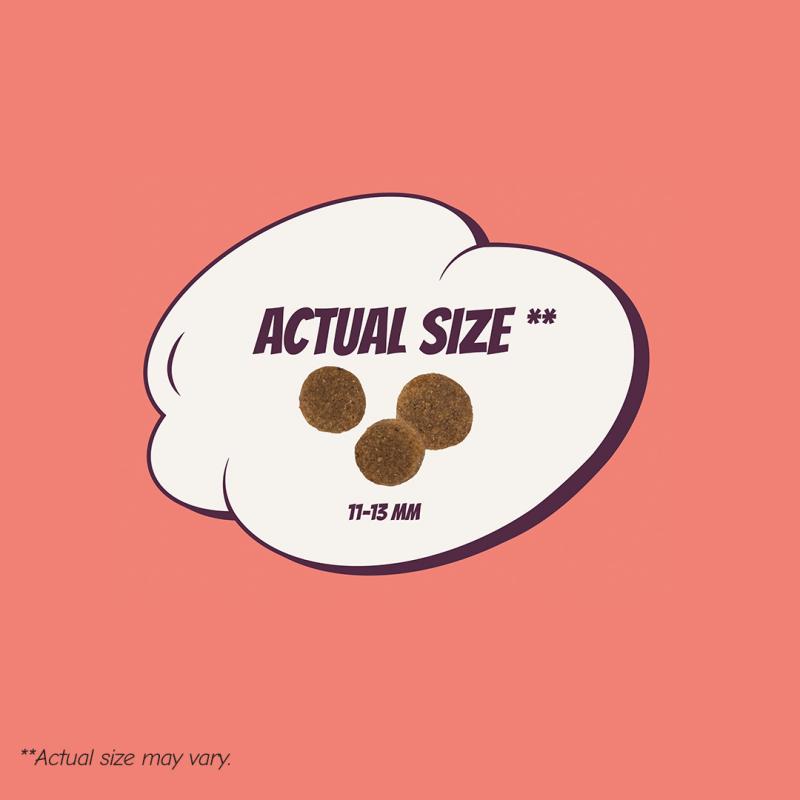 POW! Dog Super Power 12 kg