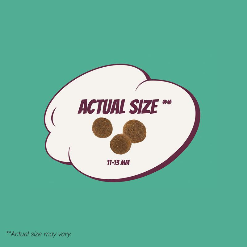 POW! Dog Adult Lamb & Rice 12 kg