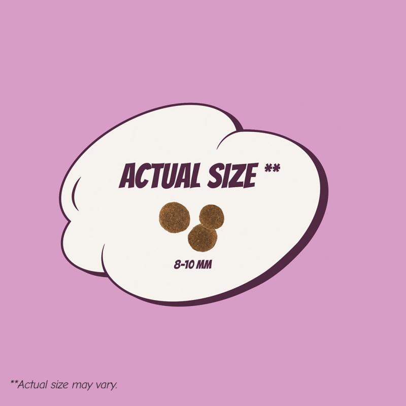 POW! Dog Puppy S/M Pork 12 kg