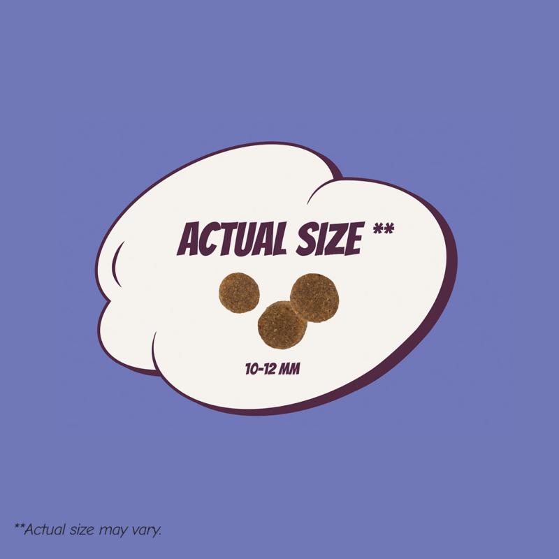 POW! Dog Puppy L/XL Pork 2 kg