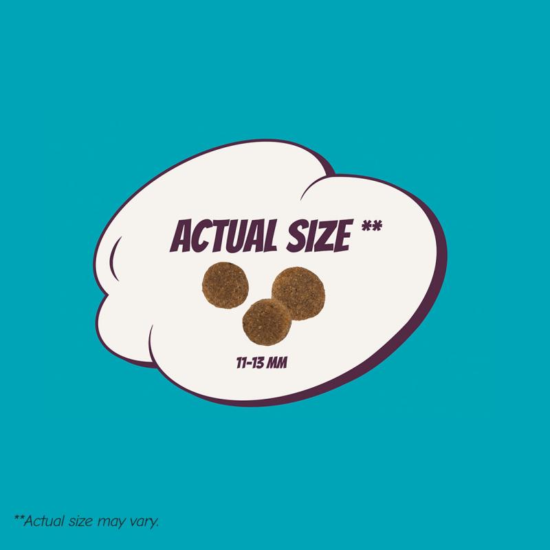 POW! Dog Senior 12 kg