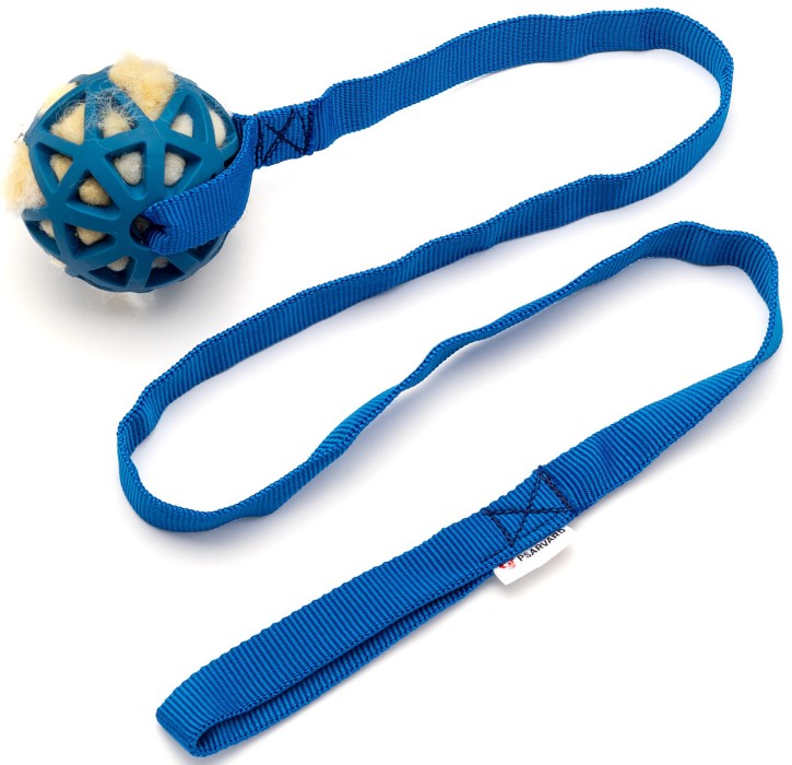 Kampleksak - Azur, Blå