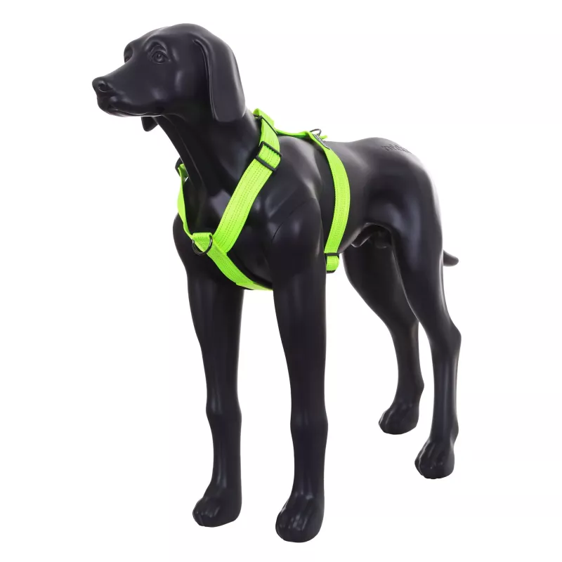 FORM NEON Sele NEON YELLOW L