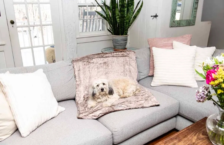 Dgs Ichy Witchy Blanket Chocolate 102x127cm