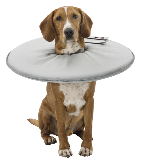 Hundkrage, mjuk, M: 38-42 cm/21.5 cm, grå