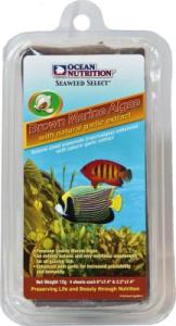 Brown Marine Algae + Garlic - Ocean Nutrition - 12g