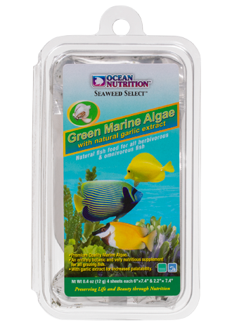 Green Marine Algae + Garlic - Ocean Nutrition - 12g