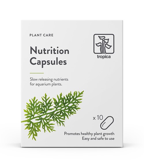 Nutrition Capsules - 10st - Tropica