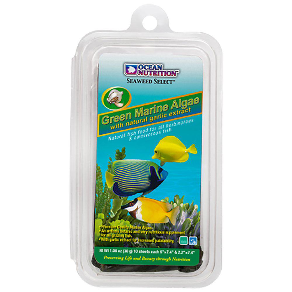 Green Marine Algae + Garlic - Ocean Nutrition - 30g