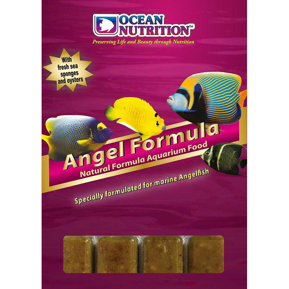 Angel Formula - 100g - Ocean Nutrition