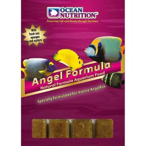 Angel Formula - 100g - Ocean Nutrition