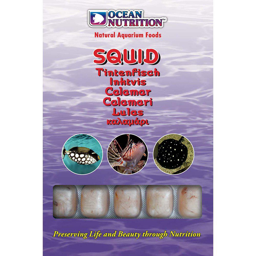 Squid - 100g - Ocean Nutrition