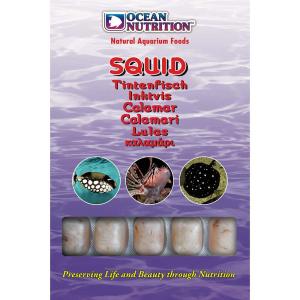 Squid - 100g - Ocean Nutrition