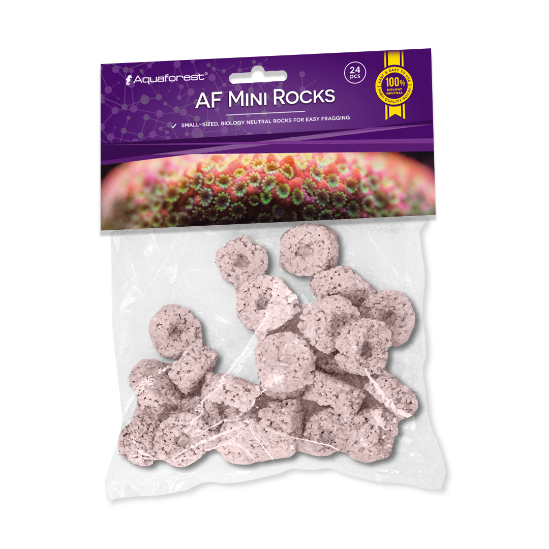 AF Mini Rocks Purple 24pcs