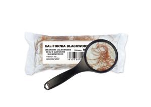 Blackworms - 45ml - Levande foder