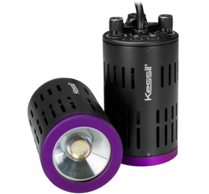 H160 - Tuna Flora - KESSIL