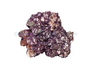 Levande sten - Indonesien - 0.5kg