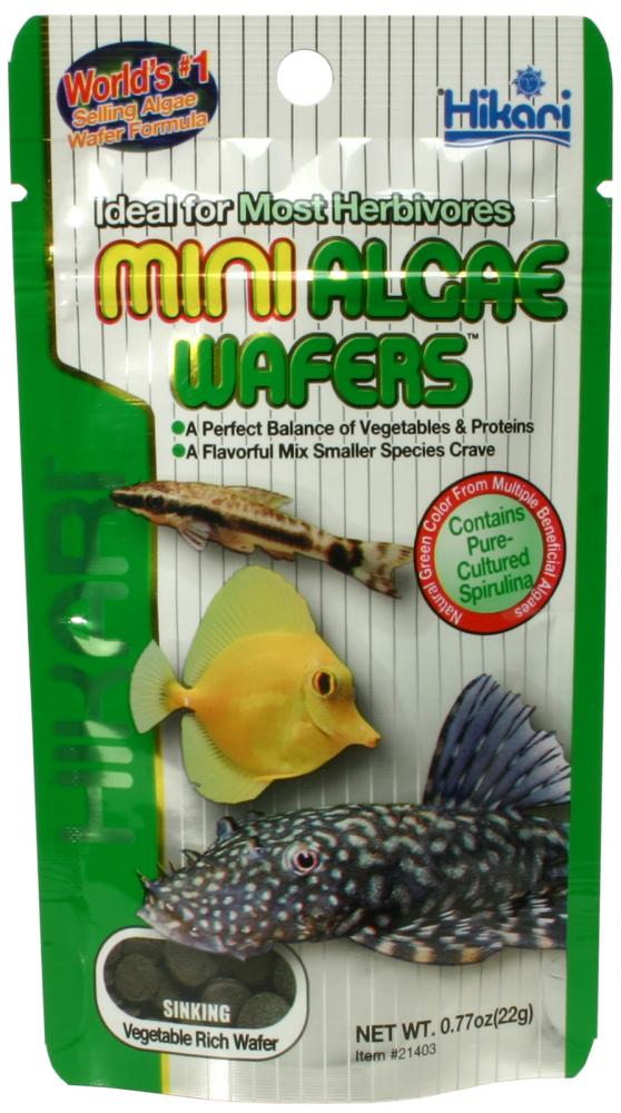 Hikari Mini-Algae Wafers 22 g