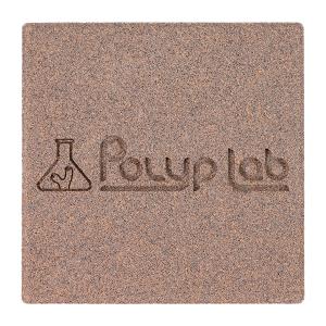Genesis Rock - 1pc - PolypLab