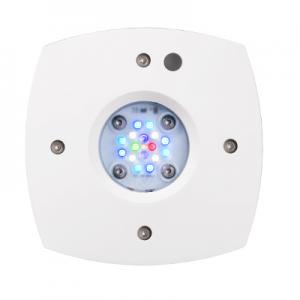 AI Prime 16HD Reef White
