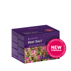 Reef Salt - 4kg Box - Aquaforest