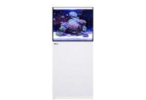 Reefer G2+ - Red Sea