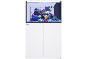 Peninsula G2+ - Red Sea