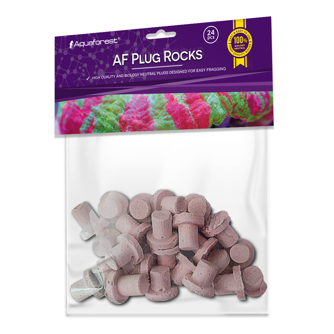 AF Plug Rocks Purple