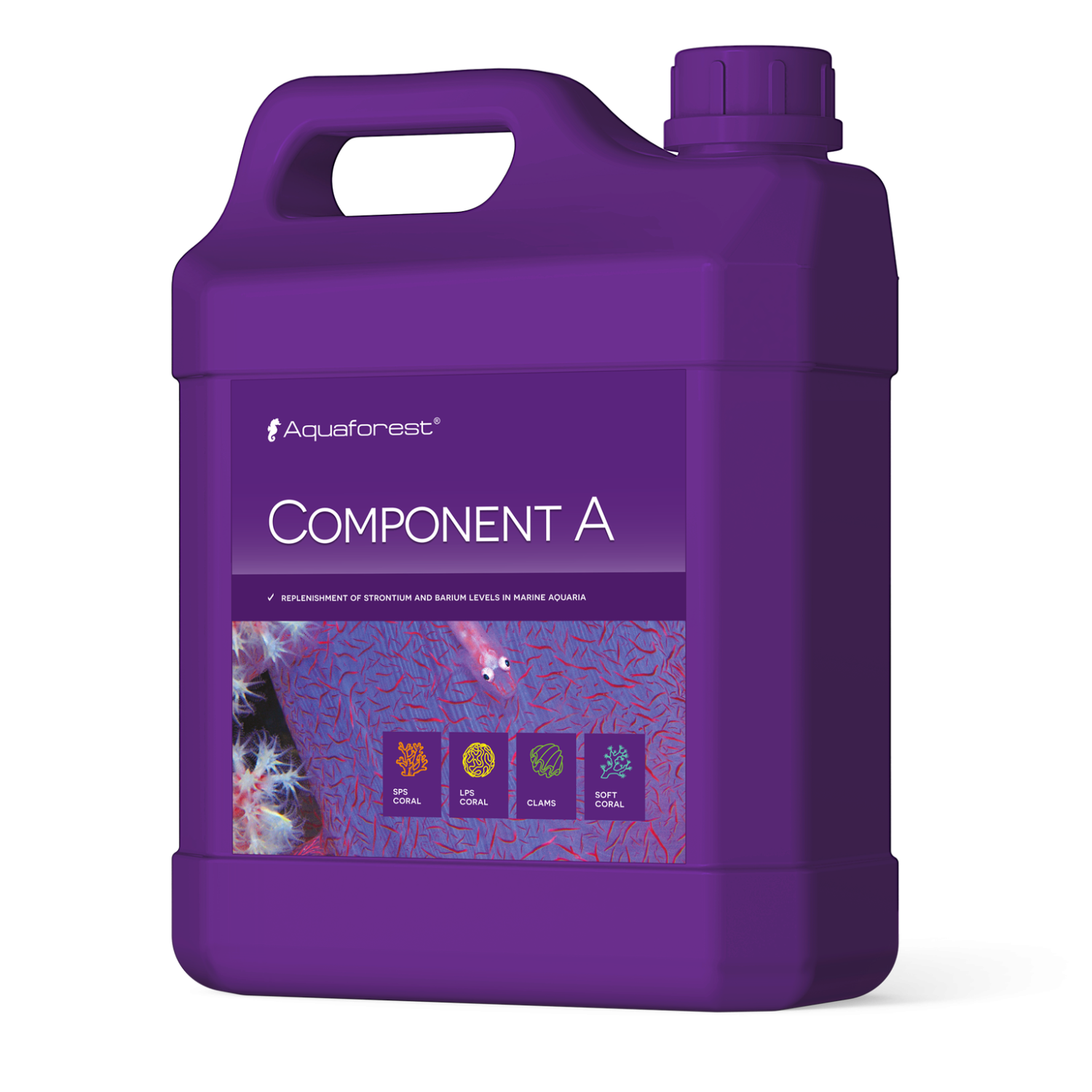 Component  A  2000ml