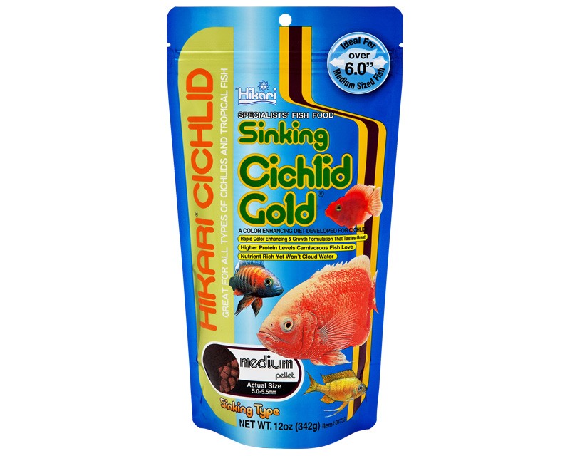 hikari cichlid gold medium