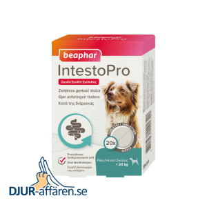 IntestoPro tabletter hund >20kg