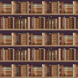 Tapet Bibliotek
