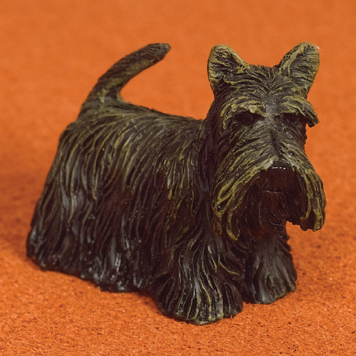 Sammie skotsk terrier skotte hund