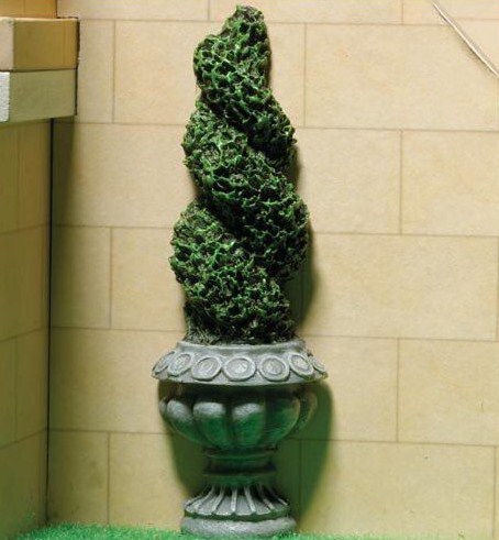 Grön figurklippt växt i stilig kruka - att sätta mot vägg