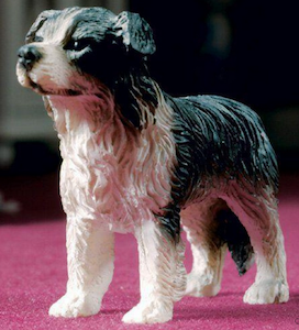 Hund Jess collie