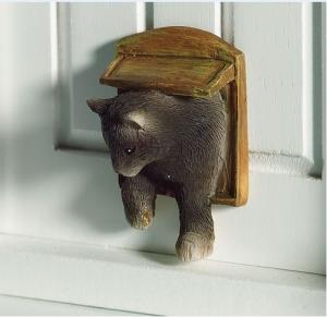 Katt Smokey i kattlucka