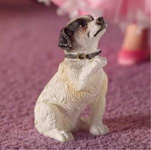 Hund Fergie the jack russel