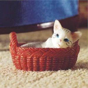 Kitty i sin korg kattunge
