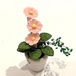 Blomma krukväxt rosa