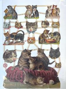 Bokmärken Katter (b)