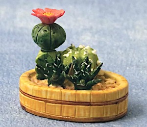 Krukväxt kaktus blomma