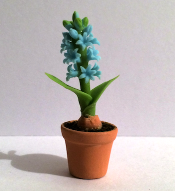 Blomma hyacint blå