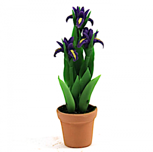 Blomma lilja lila