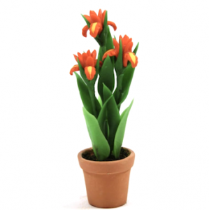 blomma lilja orange