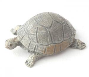 Sköldpadda grå grön