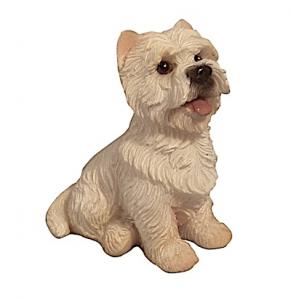 Hund Westie sitting