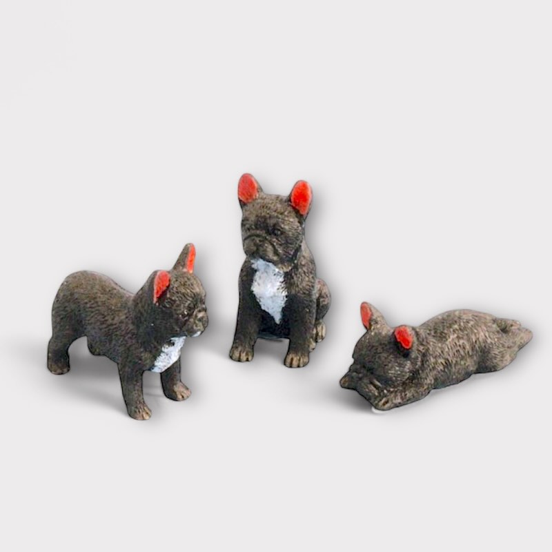 3 st Franska bulldogar hundar
